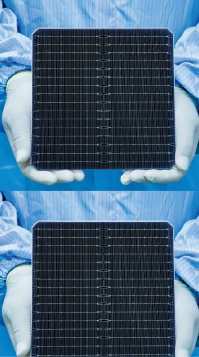 mg不朽情缘(中国)官方网站